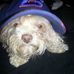 Profile Picture of Brian Danner (@brian.danner.92) on Facebook