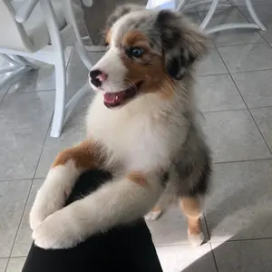 Profile Picture of Maj (@radinski_) on Tiktok