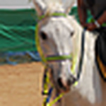 Profile Picture of Hamda BJ Al Mansouri %u2665 (@Hamda BJ Al Mansouri %u2665) on Flickr