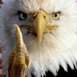 Profile Picture of Robert Lapp (@robert32708) on Twitter