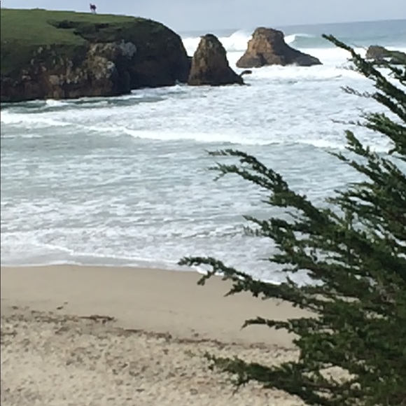 Profile Picture of Amy Murdock (@amy_murdock) on Poshmark