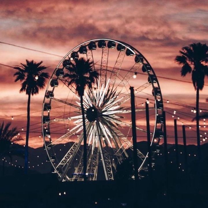 Profile Picture of 🦋Emily Corchado🦋 (@emicorchado74) on Tiktok