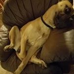 Profile Picture of James Schreiber (@james.schreiber.79) on Instagram