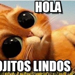 Profile Picture of arnulfo angulo (@ArnulfoAngulo) on Twitter