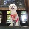 Profile Picture of Rita chen (@@lou0422) on Tiktok