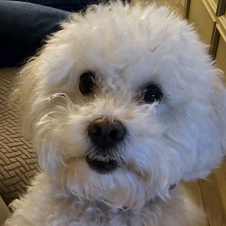 Profile Picture of deborahberkowitzatt.net (@deborahberkowitzatt.net) on Tiktok