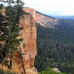 Profile Picture of Brenden-Conrad-reesor (@brenden_conrad_reesor) on Instagram