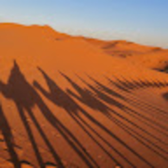 Profile Picture of Min Yang (@minyang552) on Poshmark