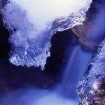 Profile Picture of Crambe (@codygaither059) on Instagram