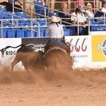 Profile Picture of Jessica Pipkin (@jessicadawnn3) on Instagram