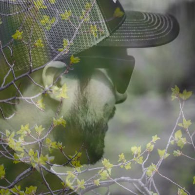 Profile Picture of Jeremy Knight Photography (@JeremyKnightPh1) on Twitter