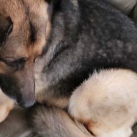 Profile Picture of Vanessa Bledsoe (@loykeyness) on Pinterest