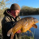 Profile Picture of Stephen Hurst (@stephen.hurst) on Instagram