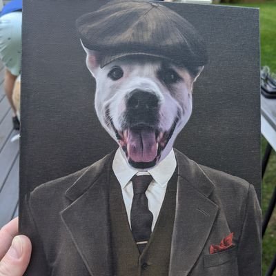 Profile Picture of Kevin Durkan (@Durkan12) on Twitter