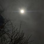 Profile Picture of Nathan Sizemore (@begonecovid_) on Instagram