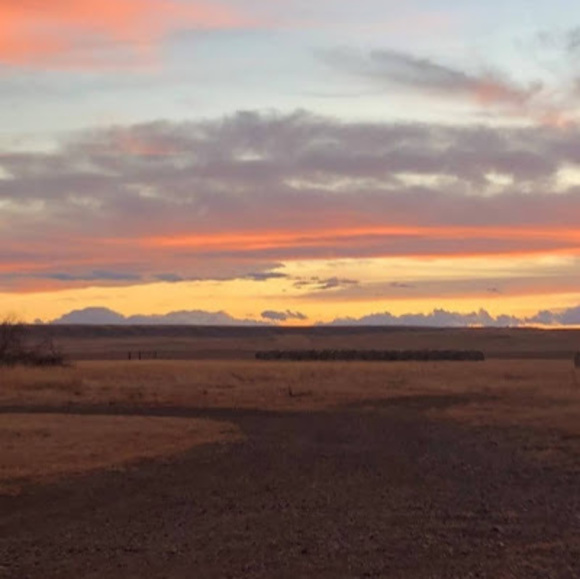 Profile Picture of Roberta Kronebusch (@r_kronebusch) on Poshmark