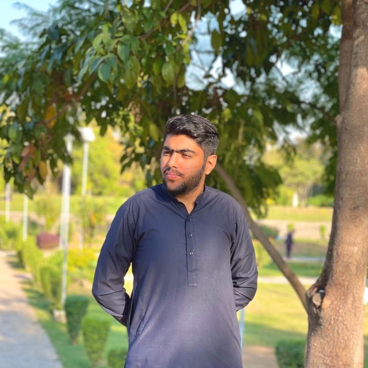 Profile Picture of Muhammad Talha (@talhasiddique_431) on Tiktok