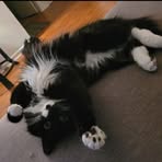 Profile Picture of Jérémie Dufresne (@Jérémie-Dufresne) on Facebook