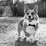 Amy Anderson Vaughan - Instagram Profile Picture of Amy Anderson Vaughan (@amysommeranderson) on Instagram