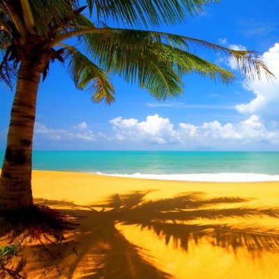 Profile Picture of JIMMY ARCE (@JIMMYARCE16) on Twitter