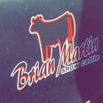 Profile Picture of Brian Martin Show Cattle (@brianmartinshowcattle) on Instagram