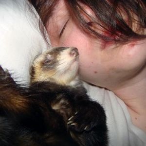 Profile Picture of Cassandra Clifford (@wither_gray) on Myspace
