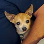 Profile Picture of Adam Mawhinney (@adamjames714) on Instagram