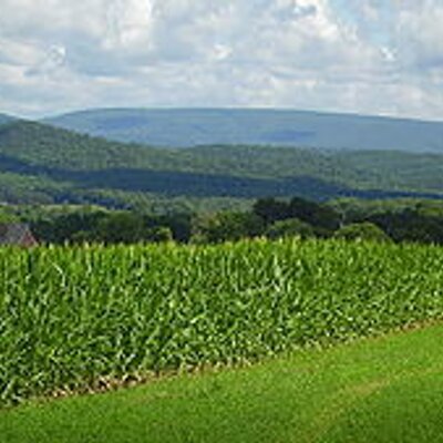 Profile Picture of Todd Enders (@PARidgeRunners) on Twitter