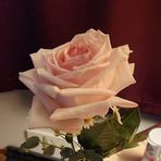 Profile Picture of B Schultes Bengard (@B-Schultes-Bengard) on Facebook