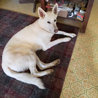 Profile Picture of George Armbrecht (@george.armbrecht) on Facebook