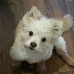 Profile Picture of Janet Asher (@janet.asher.35) on Instagram
