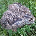 Profile Picture of Ivan Krstic (@ivan.krstic.547) on Instagram