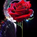 Profile Picture of Leal Al Ali (@Leal-Al-Ali) on Facebook