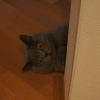 Profile Picture of Darryl Butts (@NicolButts) on Twitter