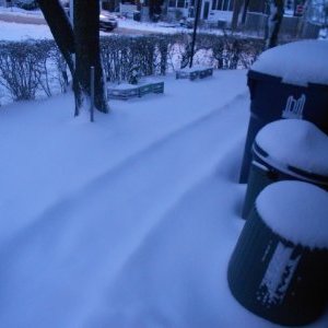 Profile Picture of DEBORAH KENNEDY BARTON (@DEBORAH54304363) on Twitter