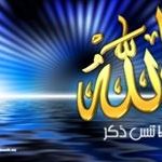 Profile Picture of Nehad Hammad (@n1982h2011) on Pinterest