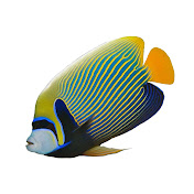 Profile Picture of Chad Penney (@cmpenney) on Youtube