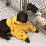 Profile Picture of Bryanna Bosley (@bosleybryanna) on Instagram