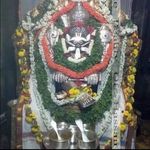 Profile Picture of Asha Ovesh (@hoovesh_asha) on Instagram