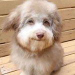 Profile Picture of Keith Thorn (@therealkeiththorn) on Instagram