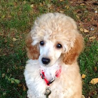 Profile Picture of Monique Benoit (@monique-benoit-2) on Quora