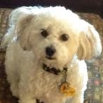 Sheri Champlin - Facebook Profile Picture of Sheri Champlin (@sheri.champlin) on Facebook