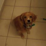 Profile Picture of Pedro Cepeda (@pedro.cepeda.33) on Instagram