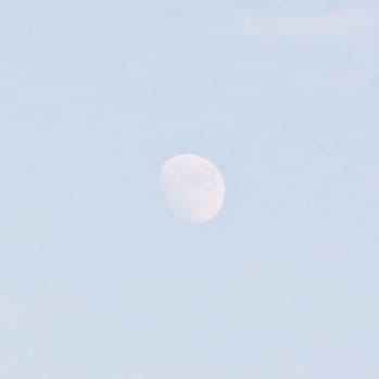 Profile Picture of ✧ﾟ･ 𝕛 𝕒 𝕟 𝕟 𝕖 𝕥 ･ﾟ✧ (@jann3t_k) on Twitter