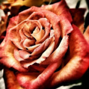 Profile Picture of Harmony Daniels (@harmonydaniels3208) on Youtube