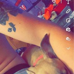 Profile Picture of Trevor Ackley (@trevor.ackley6) on Tiktok