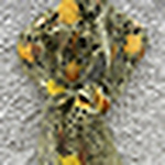 Profile Picture of Kate Ramsey (@feltfieltrofilc) on Flickr