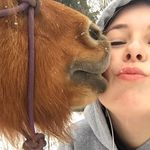 Profile Photo of Susan Kiser (@susan.kiser_) on Instagram