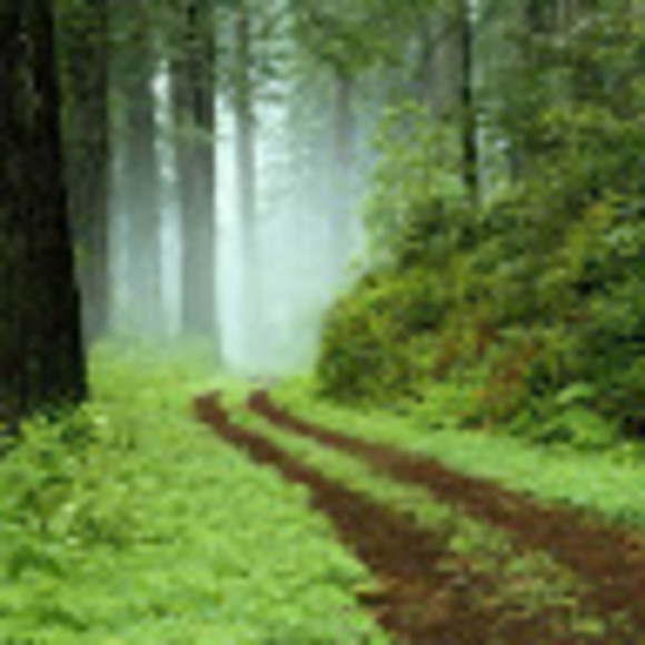 Profile Picture of Emebet Sissay (@emebetsissay) on Poshmark