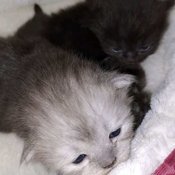 Profile Picture of Justin Lhey (@justinlhey4) on Tiktok